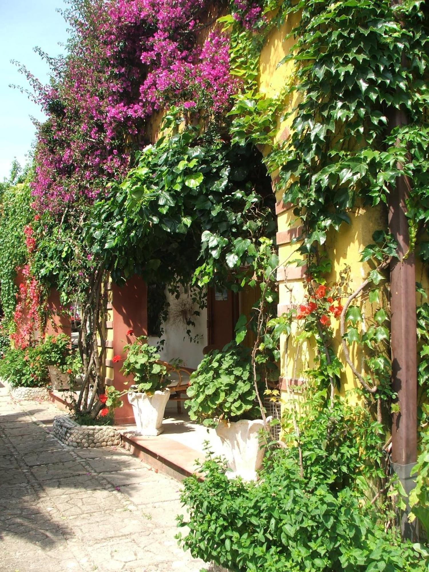 Agriturismo Posta Pastorella Vieste Cameră foto